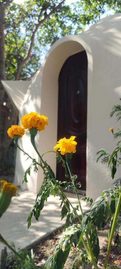 Done Right Hostel Phumi Chrouy Svay Bagian luar foto